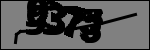 متن برای شناسایی